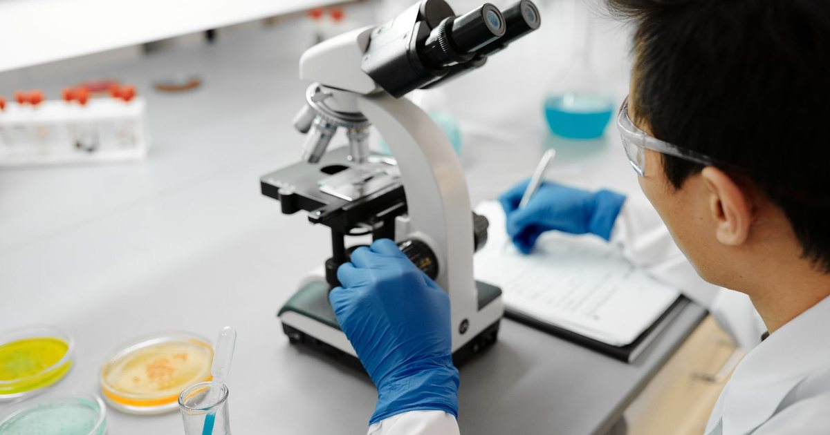 Técnico de laboratorio observando por el microscopio junto a placas de Petri