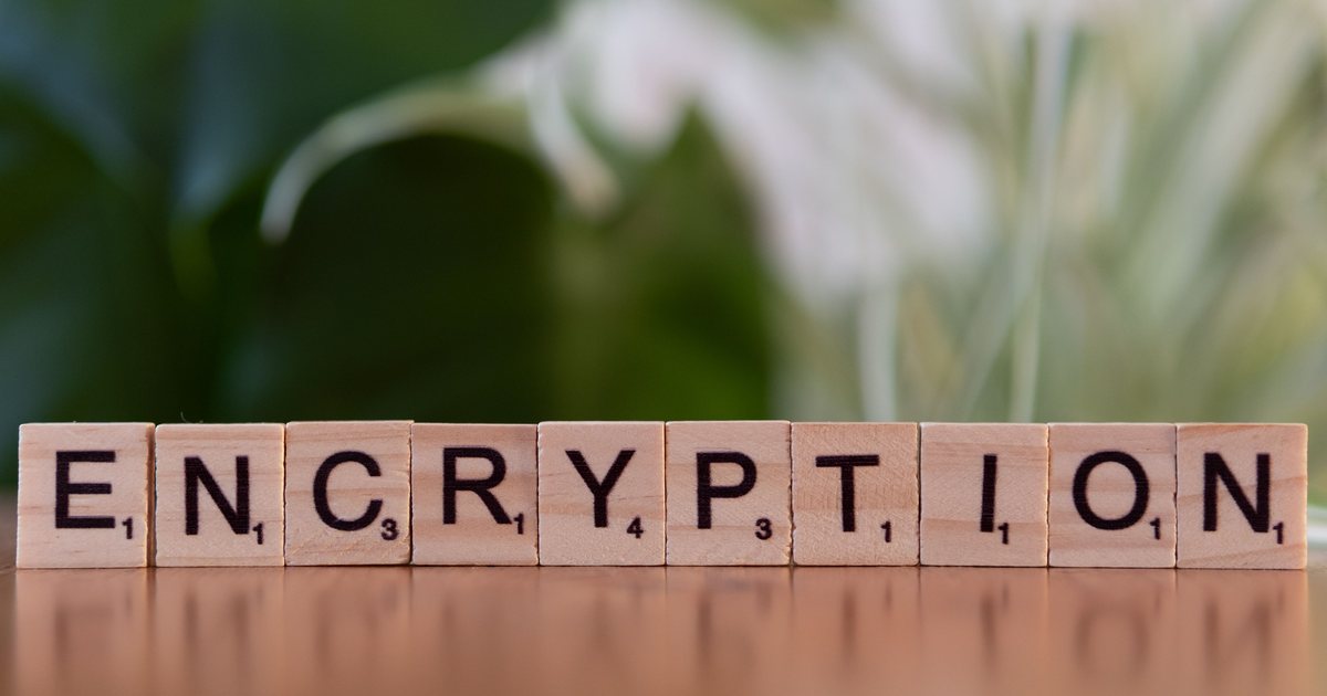 Letras de madera formando la palabra «encryption» junto a una planta