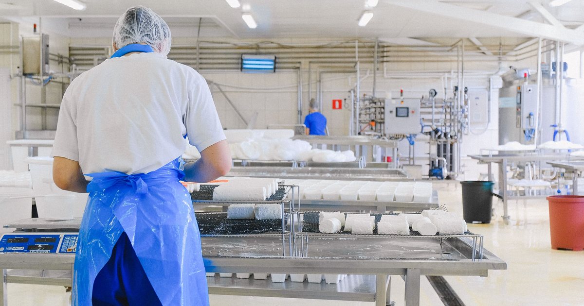 Línea de envasado de huevos en una planta alimentaria con un operario al fondo
