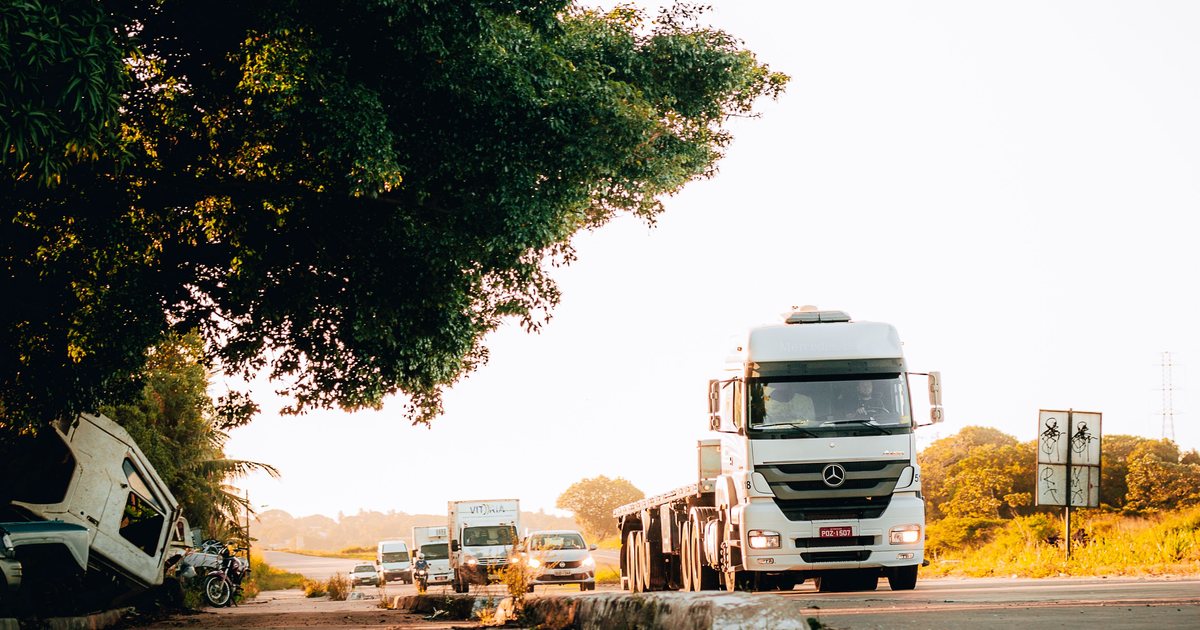 Camión circulando por una carretera recta con un árbol junto al arcén