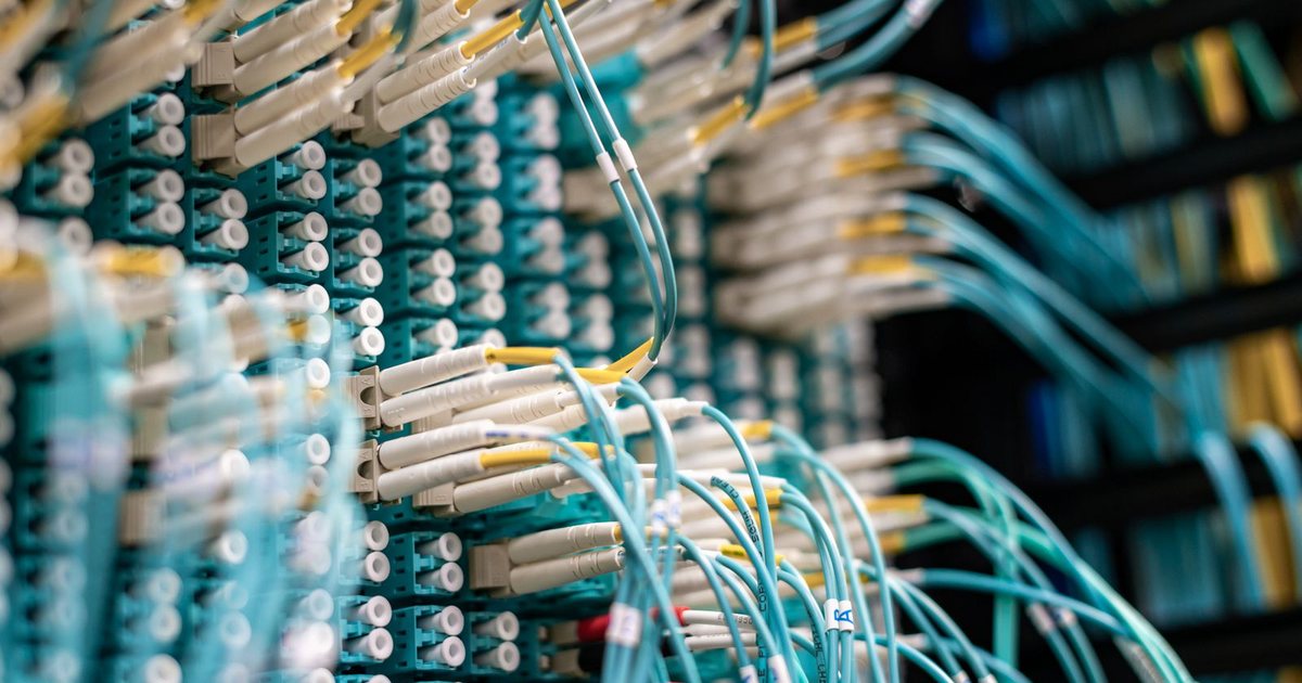 Primer plano de cables de fibra óptica organizados en un rack de servidores