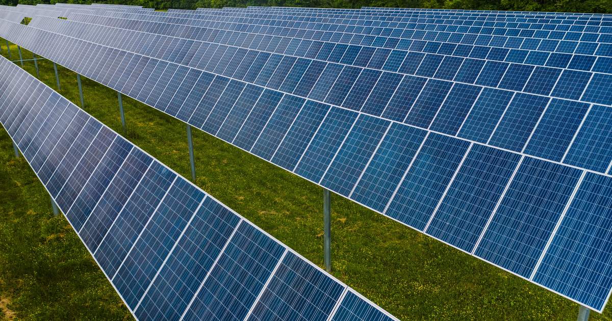 Vista aérea de un campo de paneles solares junto a un bosque