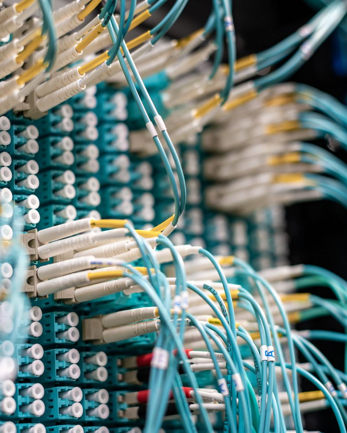 Cables de fibra óptica azul turquesa conectados a un panel de conexiones