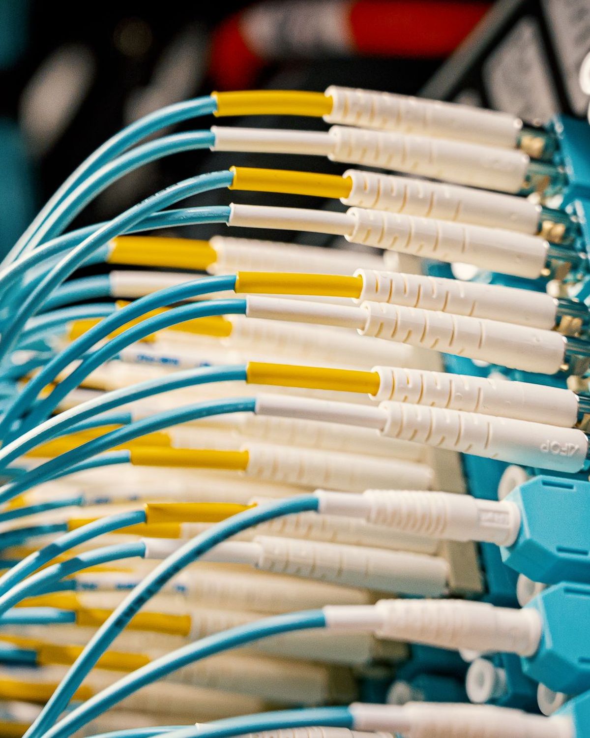 Conectores de fibra óptica con cables azules enchufados en un panel de red