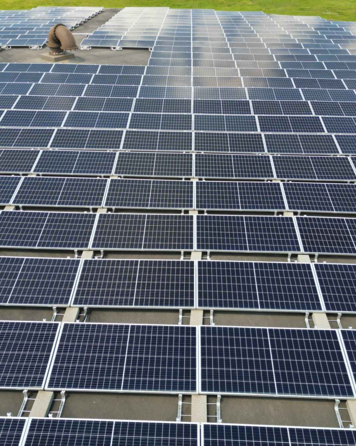 Gran instalación de paneles solares sobre una cubierta junto a una zona verde