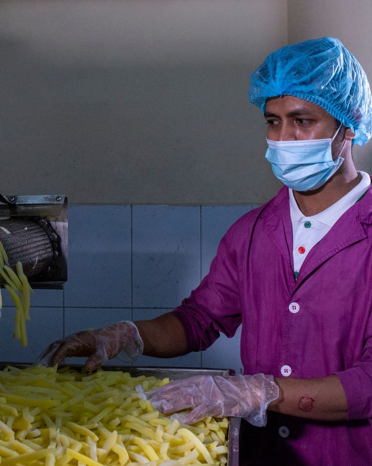 Operario con redecilla y mascarilla seleccionando patatas fritas en una planta alimentaria
