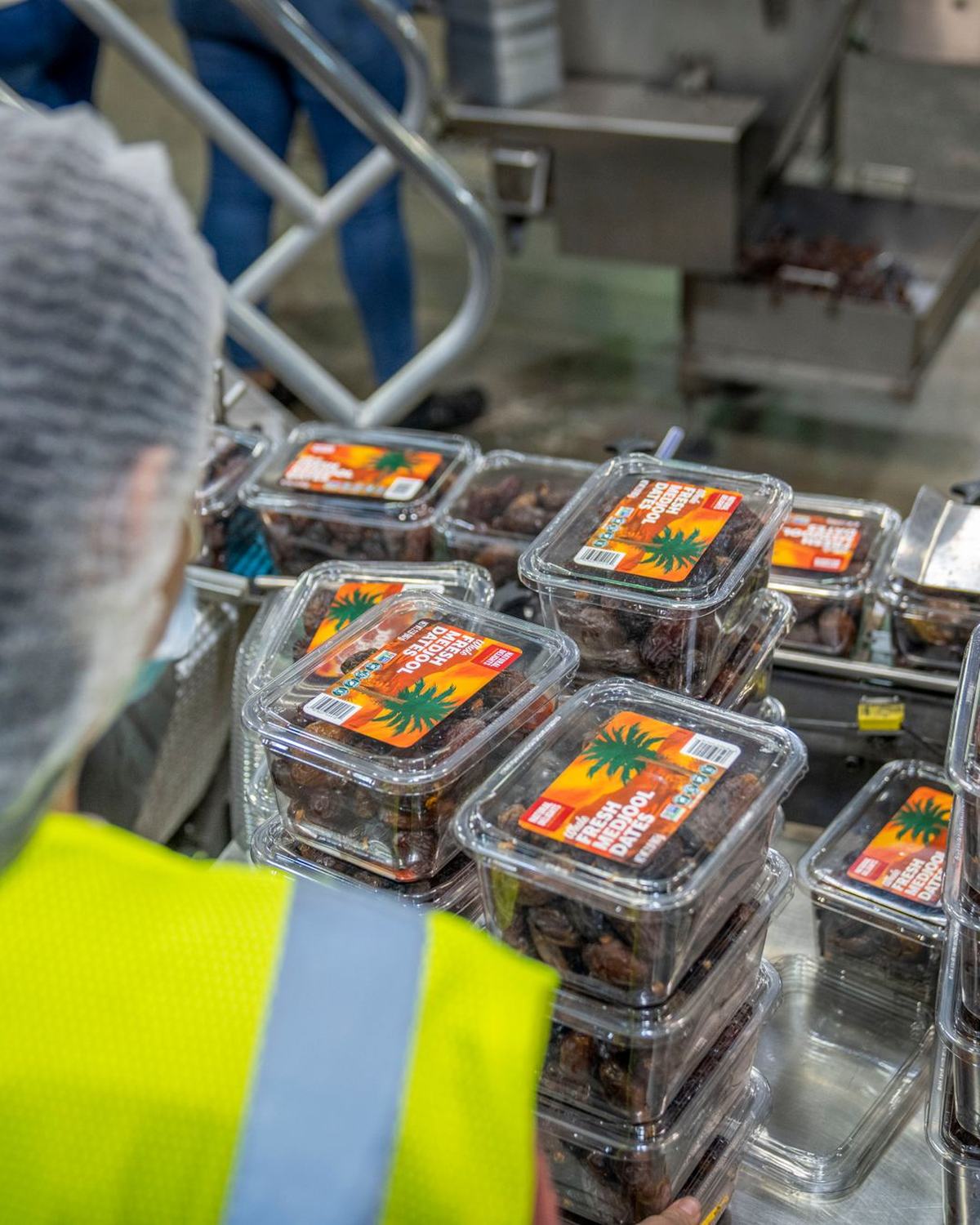 Operario con redecilla colocando envases de dátiles en una línea de producción alimentaria