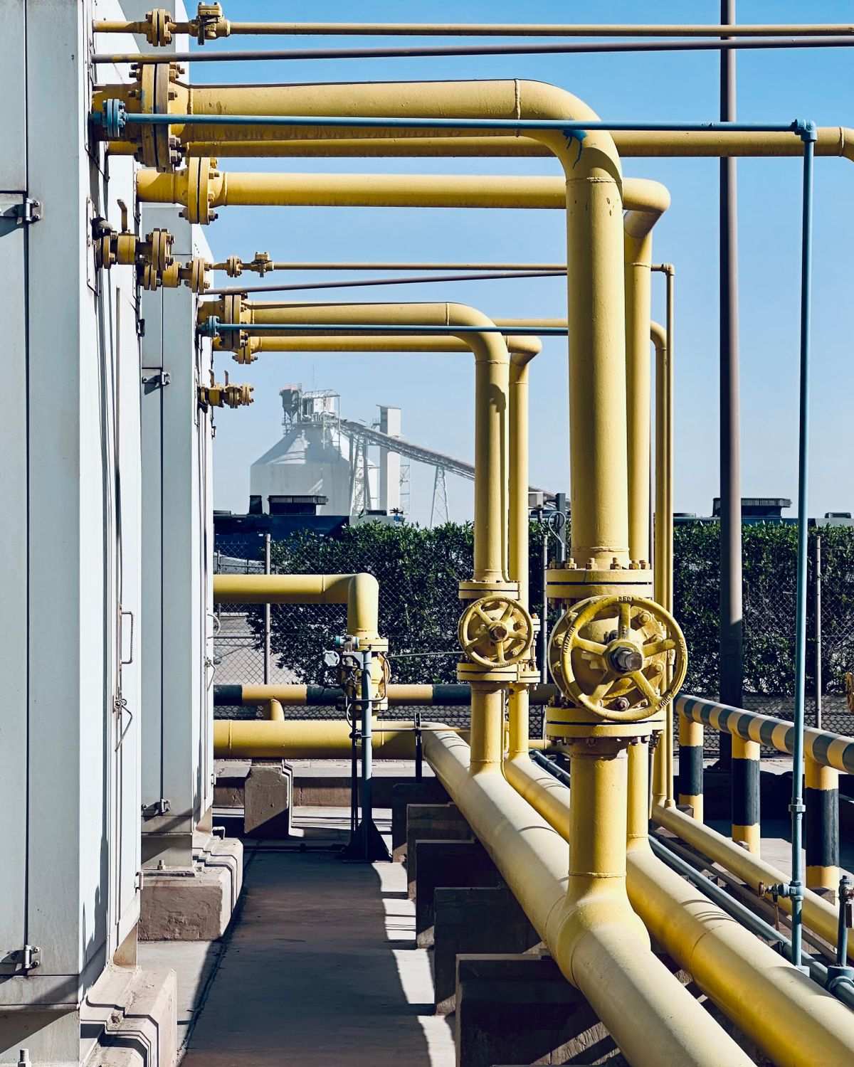 Tuberías industriales amarillas con válvulas elevadas junto a depósitos blancos